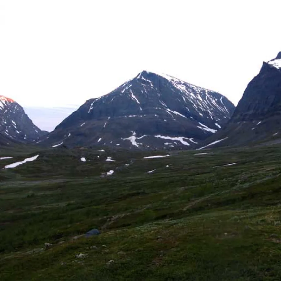 Kebnekasie - Singi