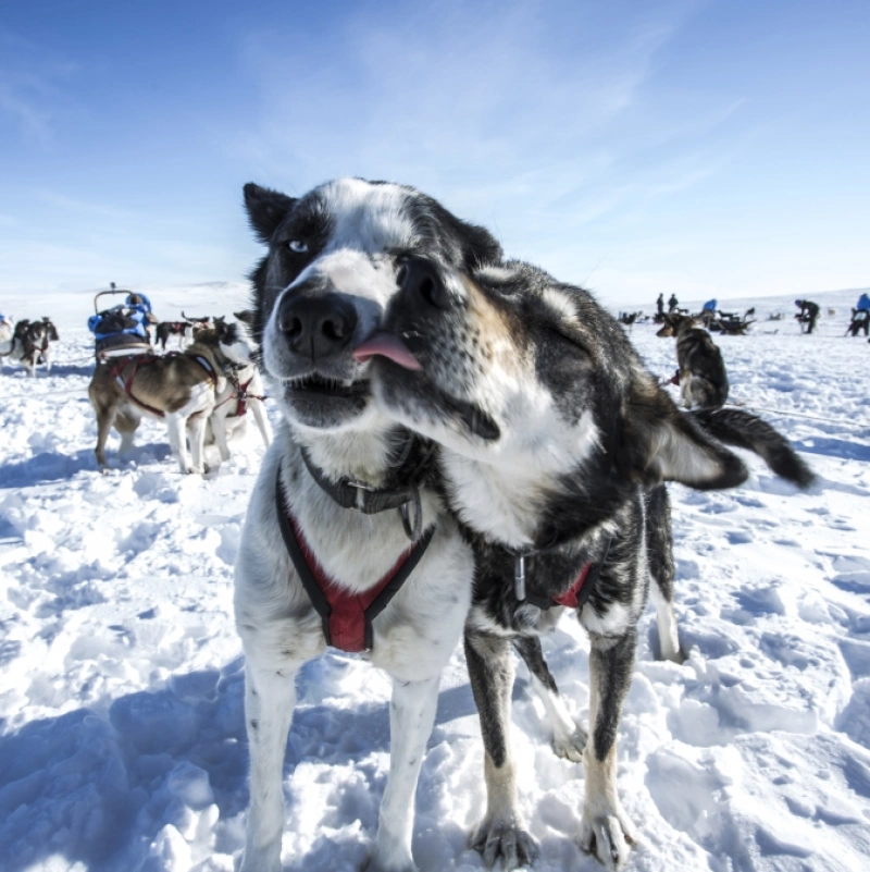 Fjällräven Polar 2014